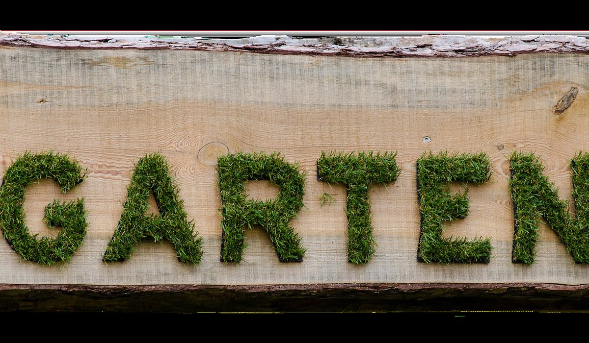 Choosing the Right Garden Tools for Beginners